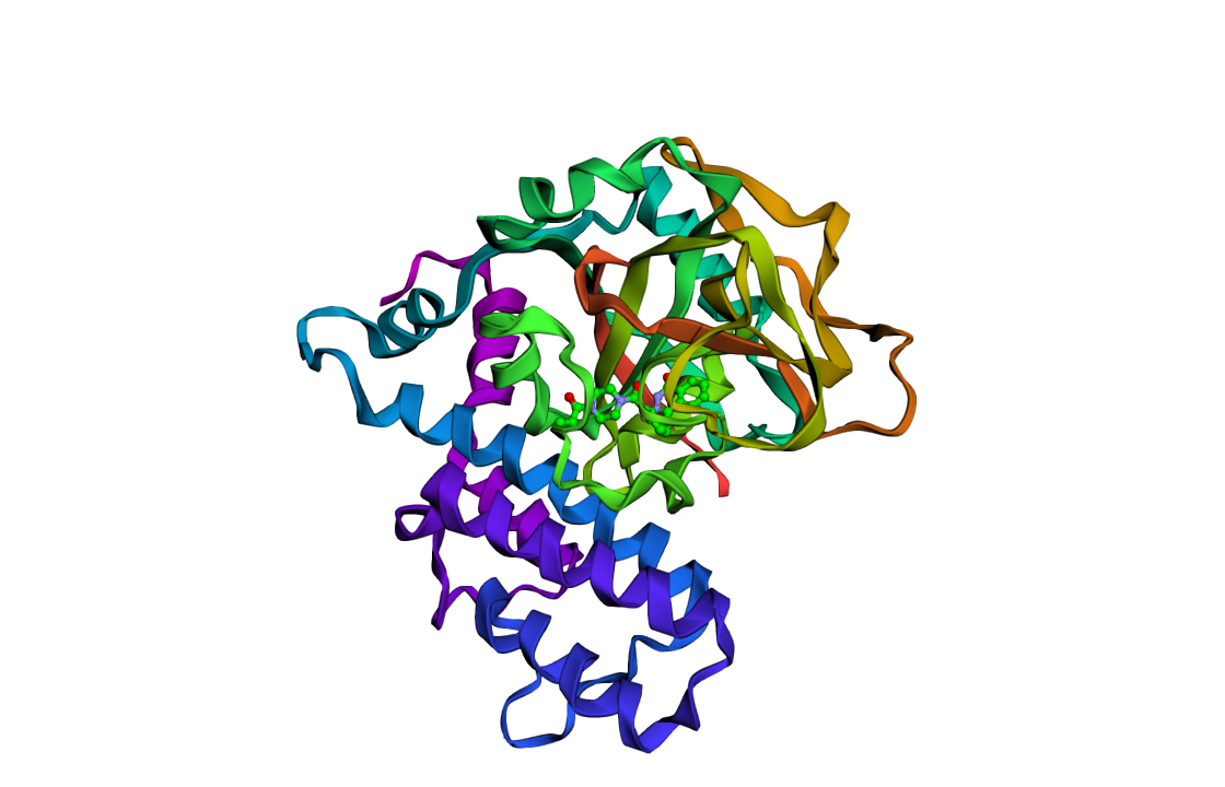 PARP1 catalytic domain (PDB 7AAD) with olaparib bound in the pocket